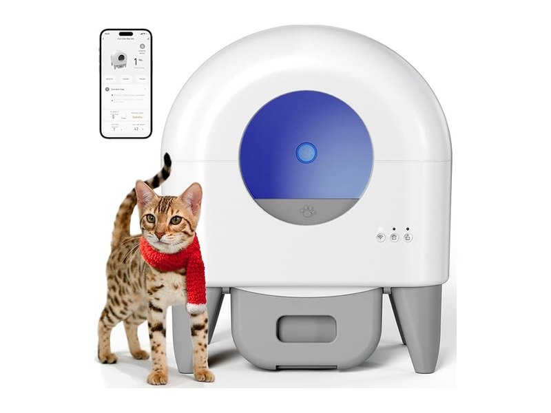 Best Automatic Litter Boxes for a Cleaner Home and Happier Cat