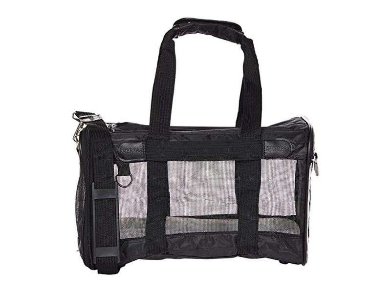 How to Choose the Best Cat Carrier