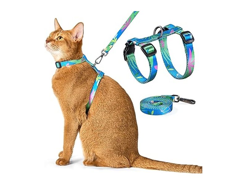 Best Cat Harness and Leash for Safe Outdoor Adventures