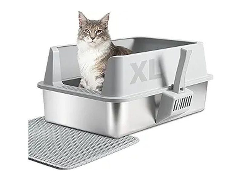 Best Cat Litter Boxes for Easy Cleaning and Odor Control