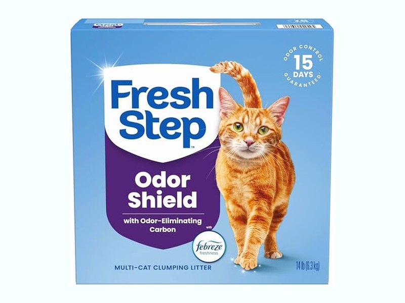 Best Cat Litter for Odor Control