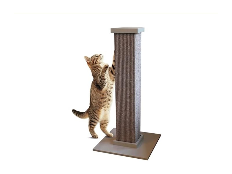 Best Cat Scratching Posts That Last
