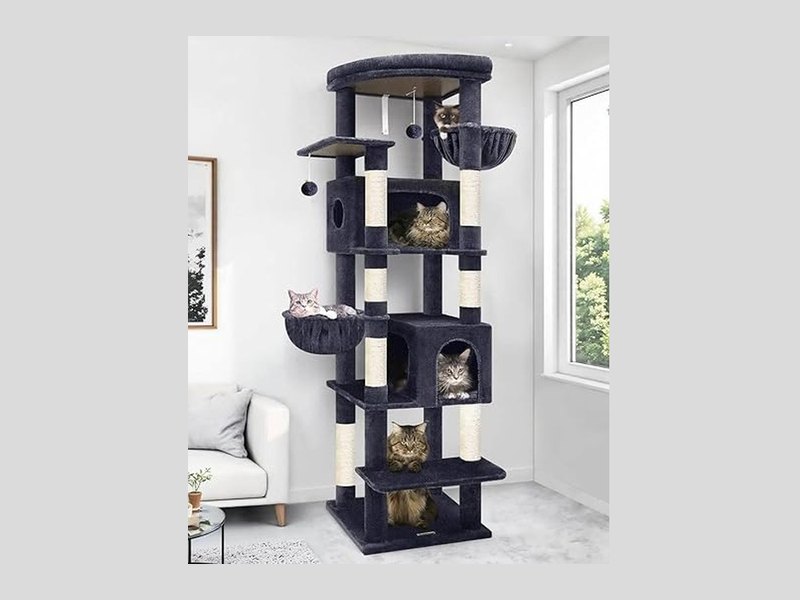 Best Large Cat Trees for Climbing, Scratching, and Lounging
