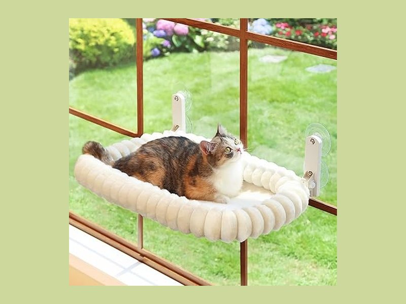 Best Cat Window Perch for Birds-Eye Views and Sunny Naps