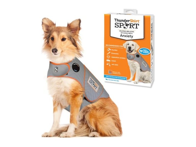 Best Dog Anxiety Vest to Calm Nervous and Stressed Dogs