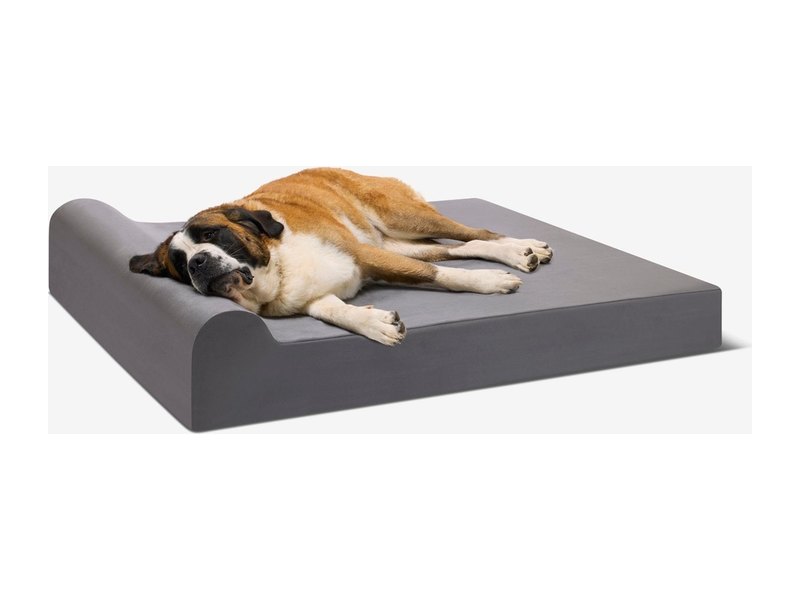 Barker Beds Orthopedic Dog Bed Review