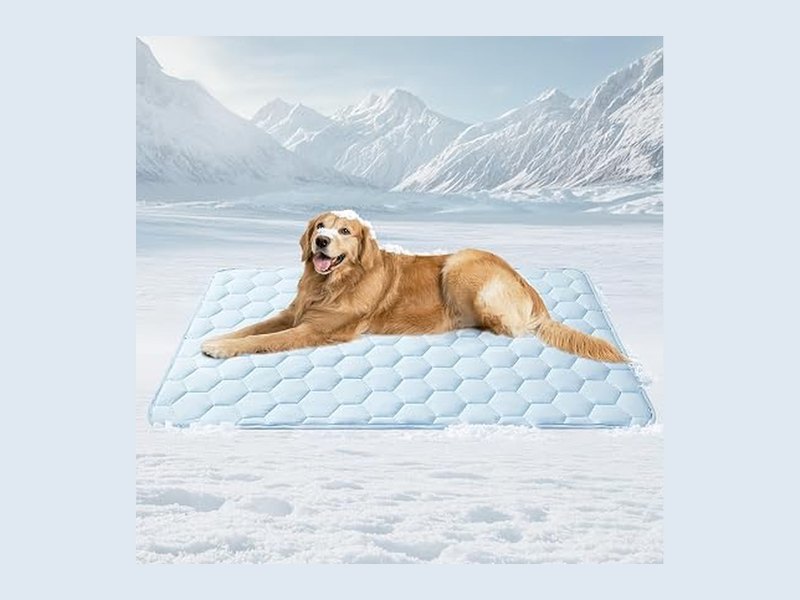Best Dog Cooling Mats to Beat the Summer Heat