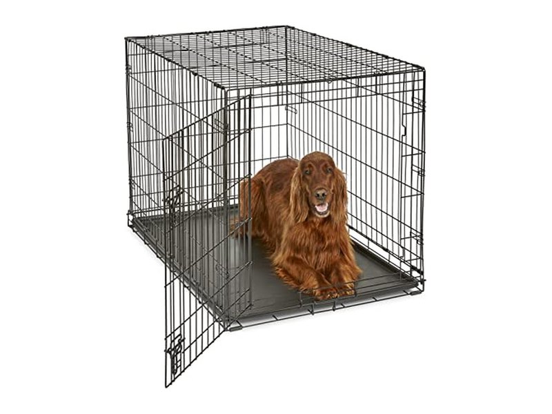 Best Dog Crates for Every Size