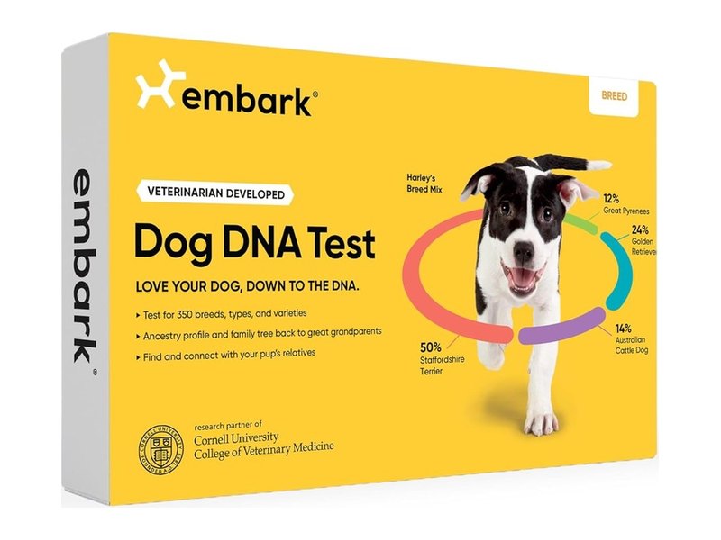 Best Dog DNA Tests Reviewed