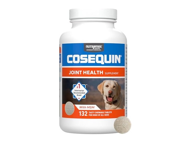 Best Dog Joint Supplements for Mobility and Hip Health