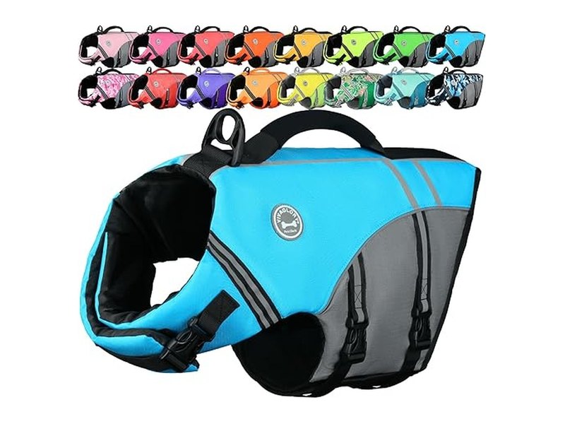 Best Dog Life Jacket for Safe Swimming and Water Adventures