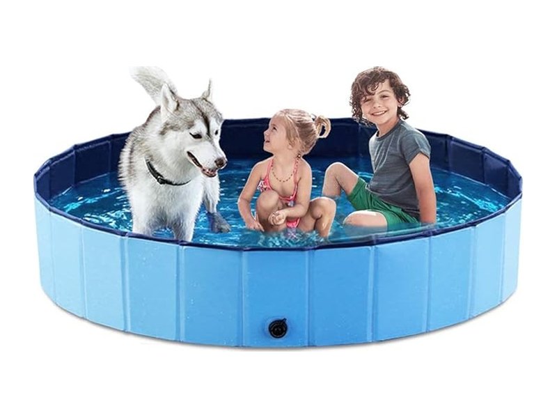 Best Dog Pools for Backyard Splashing All Summer Long