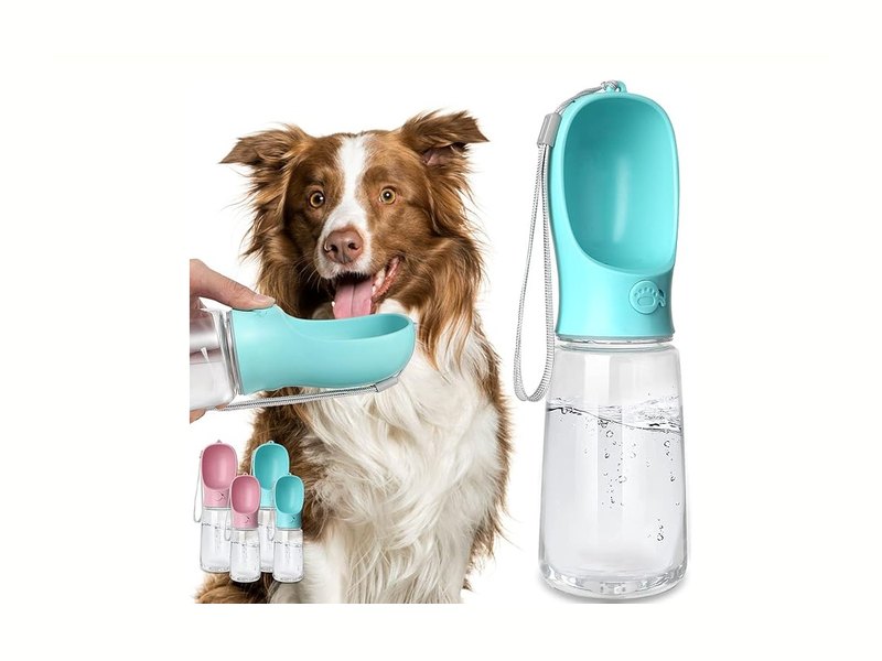 Best Dog Travel Water Bottles for Walks, Hikes, and Road Trips