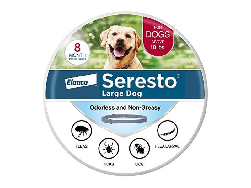 Best Flea Prevention for Dogs