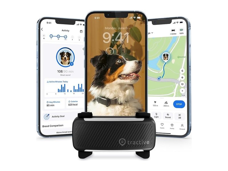 Best GPS Dog Trackers for Peace of Mind Wherever Your Dog Roams