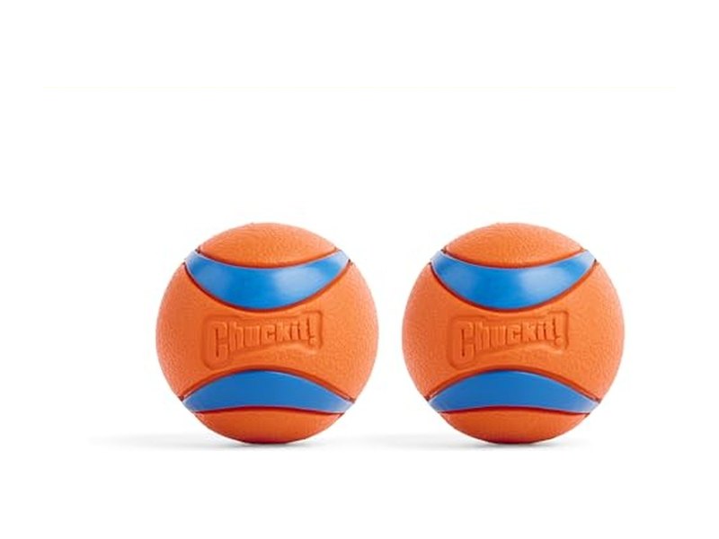 Best Interactive Dog Toys to Keep Your Pup Busy