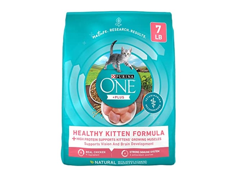 Best Kitten Food for Healthy Growth and Strong Immunity