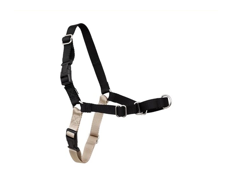 PetSafe Easy Walk Harness Review