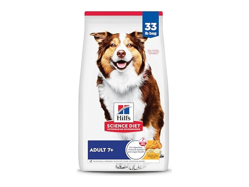Best Dog Food for Senior Dogs