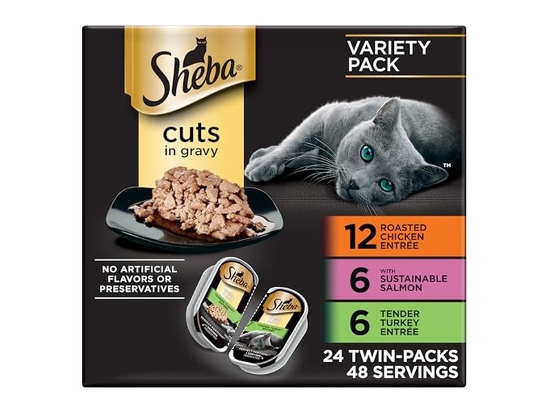 Best Wet Cat Food Your Cat Will Actually Eat